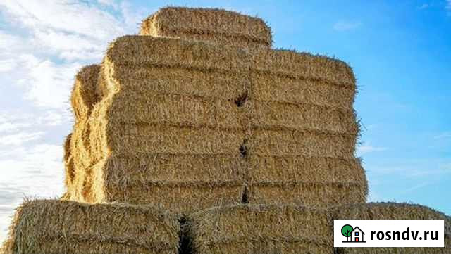 Сено Домодедово - изображение 1