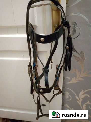 Узда выездная для лошади Селенгинск - изображение 1