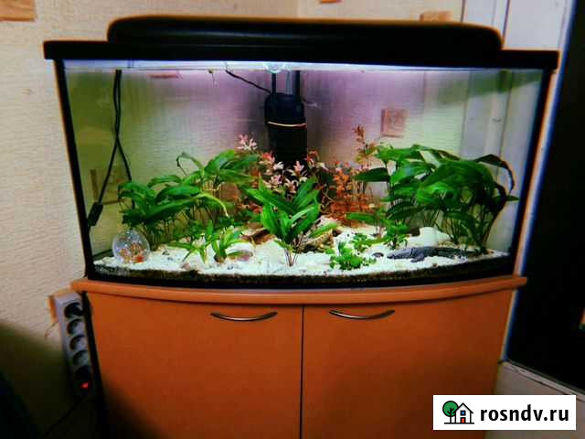 Аквариум угловой Калининград - изображение 1