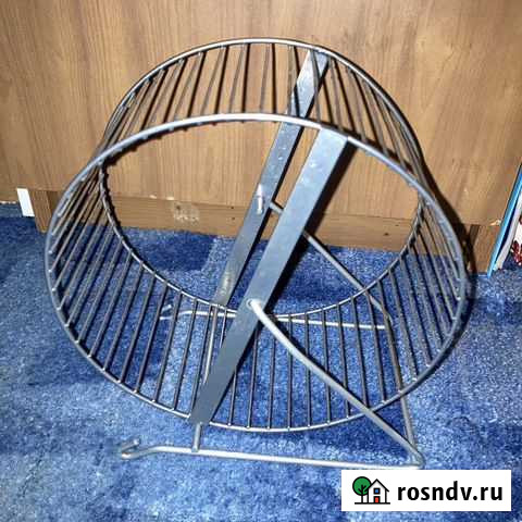 Колесо для грызунов Среднеуральск - изображение 1