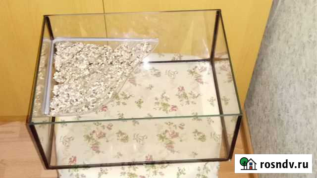 Акватеррариум Мурино - изображение 1