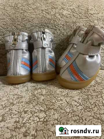 Ботинки для собак Тамбов - изображение 1