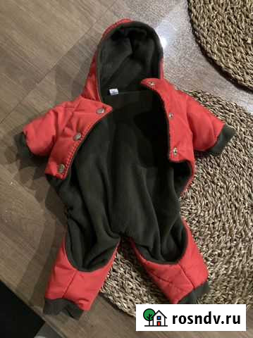 Костюм зимний для маленькой собачки Орехово-Зуево - изображение 1