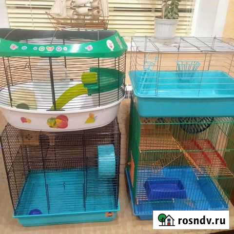 Большие клетки для грызунов Брянск - изображение 1