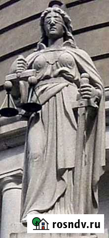 Семейные споры. Взыскание дебиторки. Банкротство Ростов-на-Дону - изображение 1