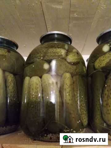 Огурцы маринованные Шуя - изображение 1