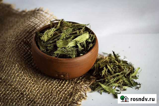 Стевия (медовая трава) Барнаул - изображение 1