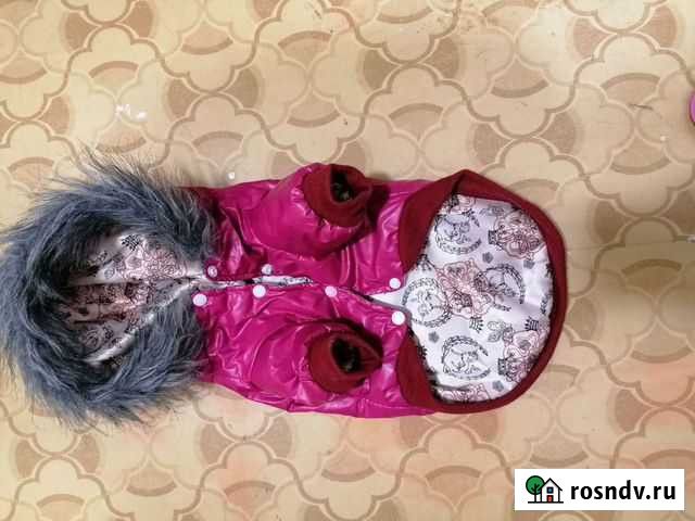 Одежда для маленьких собак Богородск - изображение 1