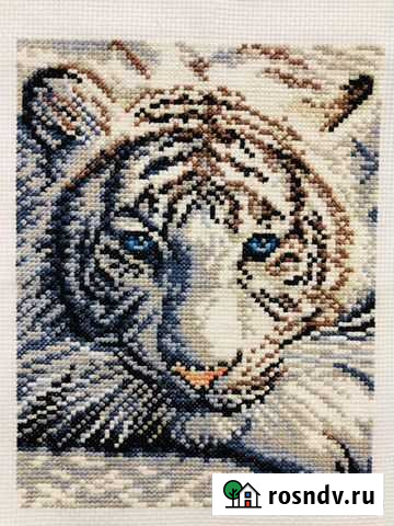 Вышивка крестом «Тигр» Томск - изображение 1