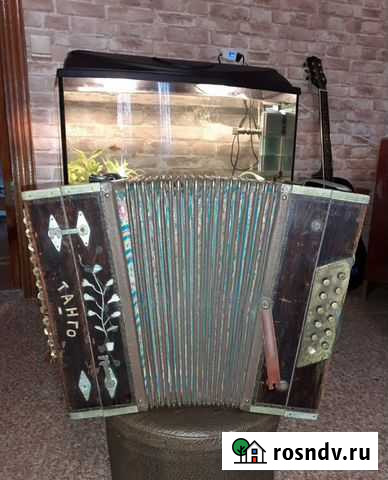 Гармошка Танго Сызрань - изображение 1