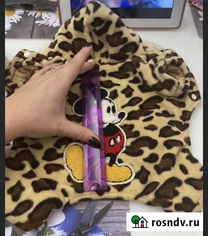 Одежда для маленьких собак Курск - изображение 1