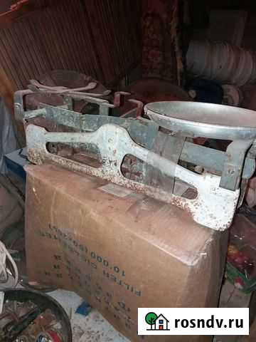 Весы Волгоград - изображение 1