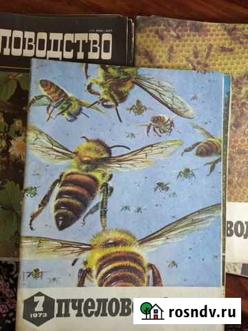 Журнал пчеловодство Шебекино - изображение 1