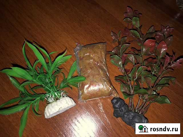 Аквариумные растения набор Барнаул - изображение 1