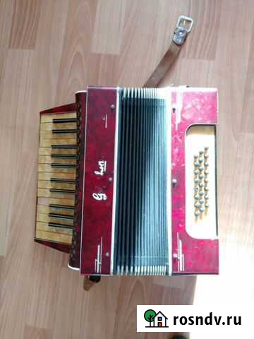 Аккордеон goldrlang трофейный Мытищи - изображение 1