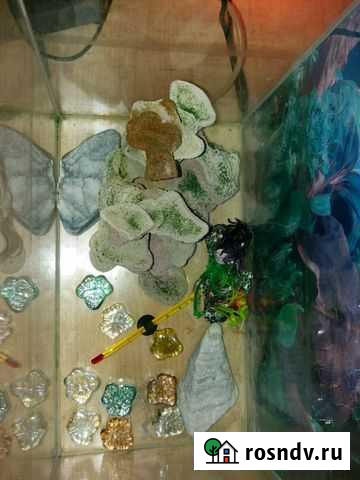 Аквариум Бердск - изображение 1