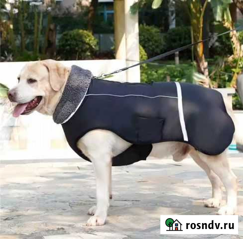 Продаю Зимнюю куртку на большую собаку Ярославль - изображение 1