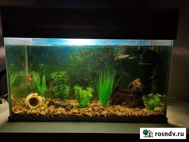 Аквариум Мелеуз - изображение 1