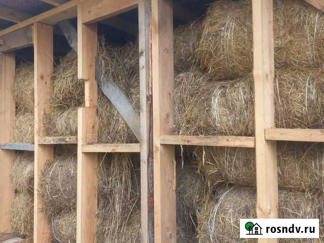 Сено Печерск - изображение 1