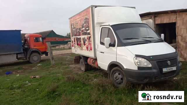 ГАЗ ГАЗель 3302 бортовой, 2009 Анди - изображение 1