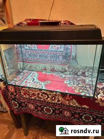 Аквариум Самара - изображение 1