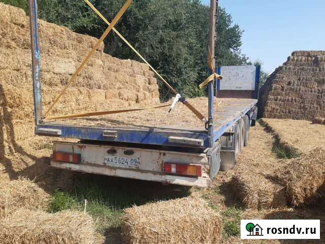 Солома тюки гороховые Курская - изображение 1