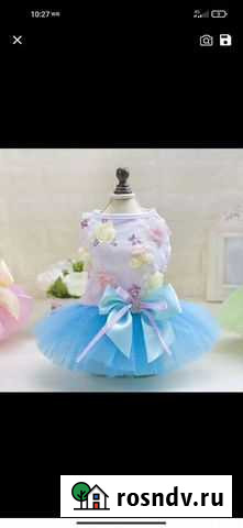 Платье для собак Балашиха - изображение 1