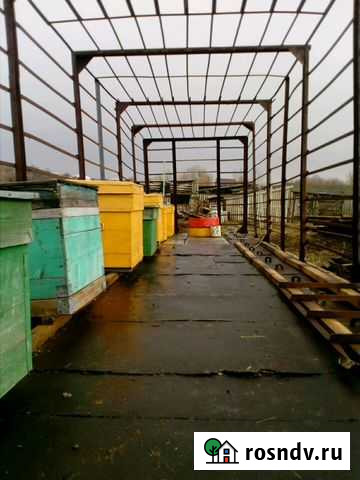 Платформа для пчёл Богучар - изображение 1