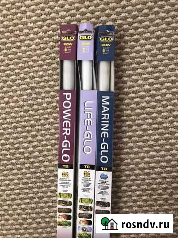 Продам лампы т8 для аквариума Омск - изображение 1