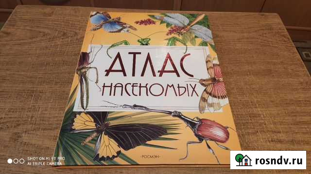 Книга. Атлас Насекомых. Новая Вологда - изображение 1