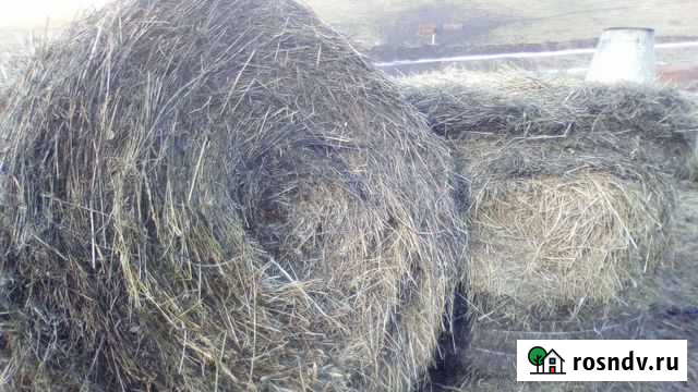 Сено в тюках Осинники - изображение 1