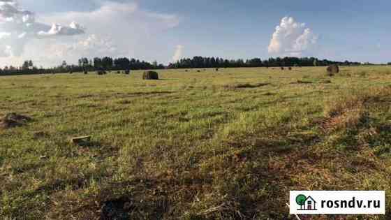 Продам сено в рулонах Шимановск