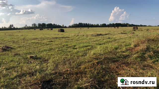 Продам сено в рулонах Шимановск - изображение 1