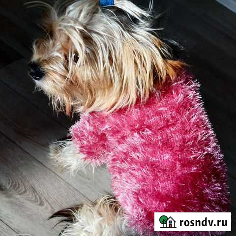 Шубка Астрахань - изображение 1