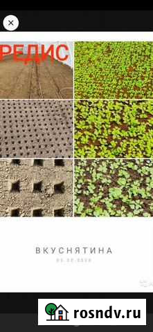 Посадка редиса, моркови и свеклы вакуумной сеялкой Джанкой - изображение 1