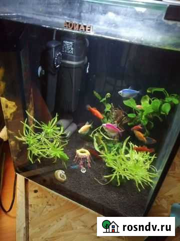 Аквариум куб готовый Синявино - изображение 1