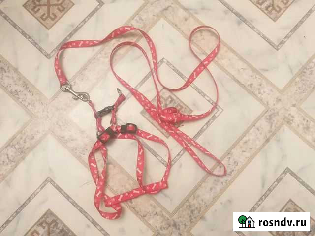 Шлейка для собаки и кошки Набережные Челны - изображение 1