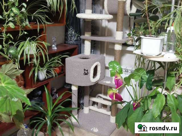 Кошачий домик Тула - изображение 1