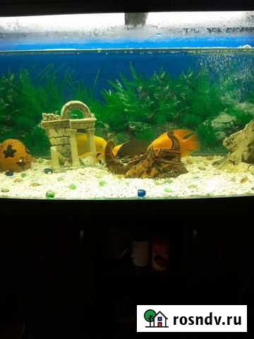 Аквариум с тумбой Старопестерево - изображение 1