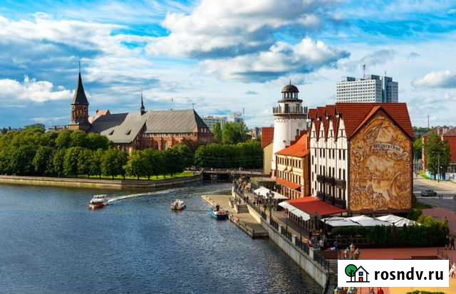 Гид в Калининграде Калининград - изображение 1