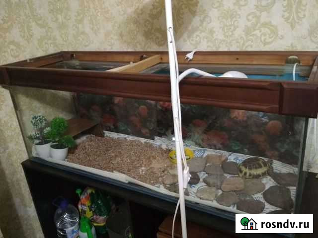 Аквариум террариум Новокузнецк - изображение 1