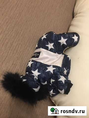 Одкжда для собак Чапаевск - изображение 1