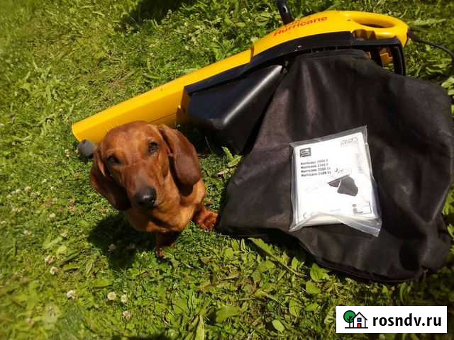 Садовый пылесос AL-KO 2400 EL Для уборки листьев и Себеж - изображение 1