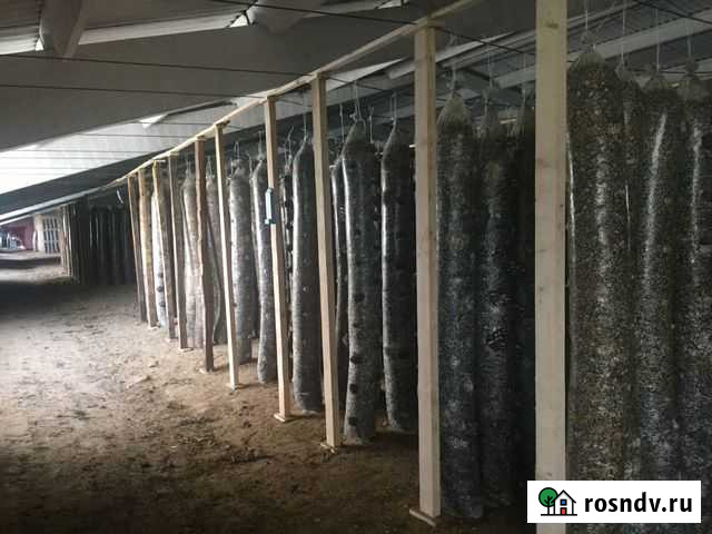 Грибное производство всобственности 2500 кВ, обмен Каневская - изображение 1