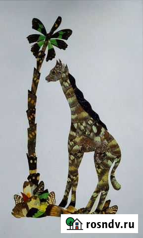 Картина из крыльев бабочек. Жираф Чебоксары - изображение 1