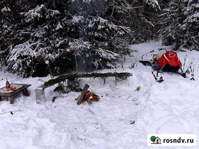 Пикник в новогоднем лесу Пермь - изображение 1