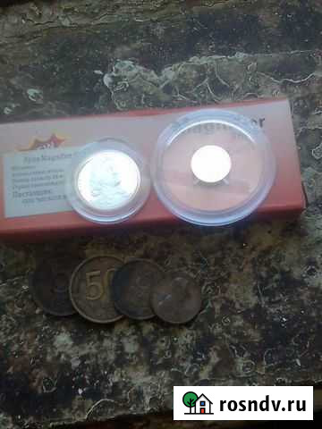 Монеты Биробиджан - изображение 1