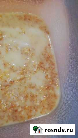 Живой корм для рыбок Иркутск - изображение 1