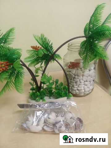 Для аквариума Новокузнецк - изображение 1