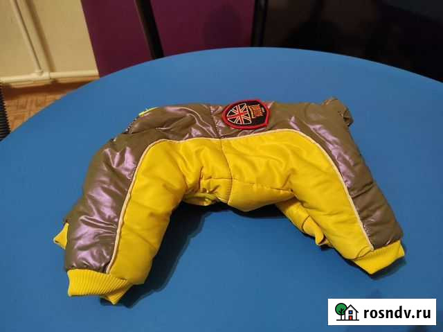 Зимний комбинезон для маленькой собаки Оренбург - изображение 1